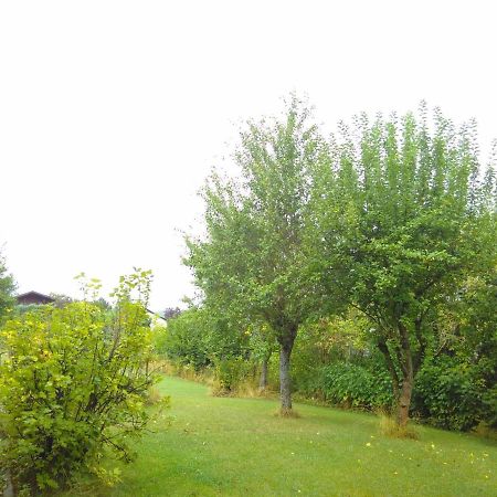 Ferienwohnung Am Mozarthuegel Варштайн Екстер'єр фото